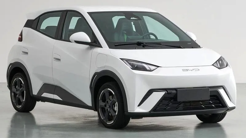 Ile zapłacisz za oświadczenie elektryka? Zaskakujące ceny ujawnione