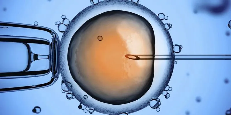 In vitro jako nadzieja dla nosorożców – czy ratunek dla ostatnich samic jest możliwy?