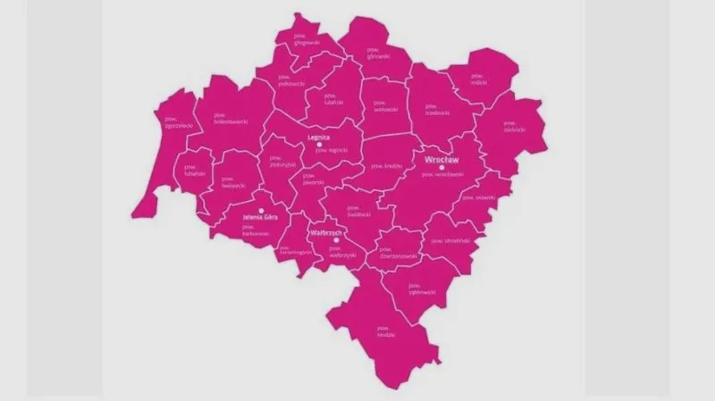 Jak znaleźć numer licznika prądu Tauron? Praktyczne wskazówki