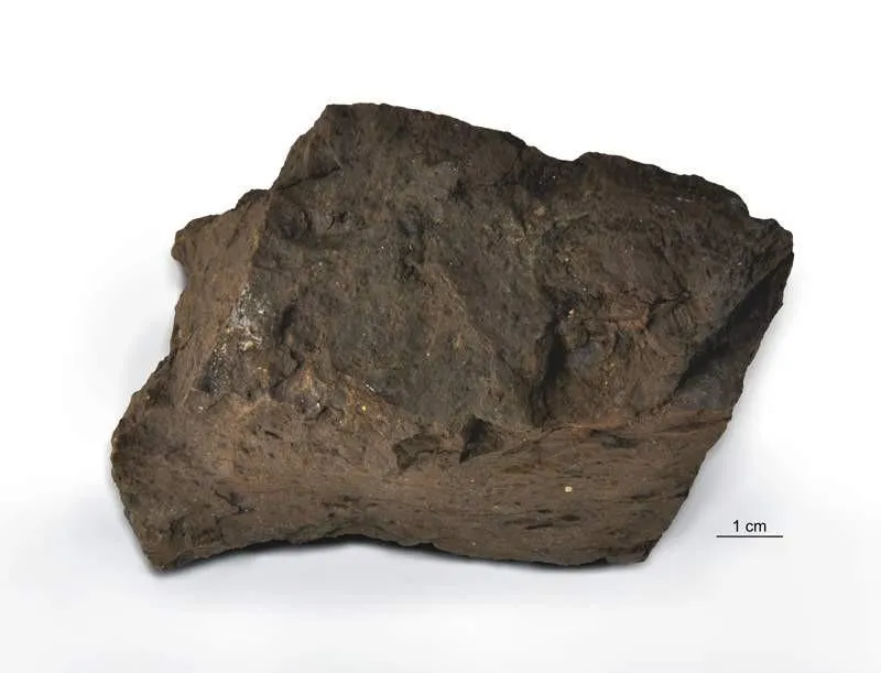 Odkryj atuty elektrowni opalanej węglem brunatnym: korzystne rozwiązania i oszczędności dla przyszłości energii