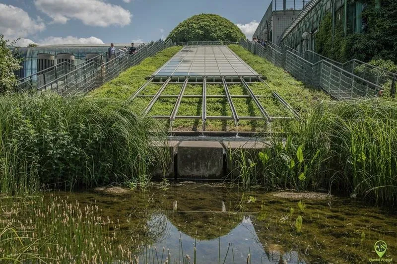 Ogród na dachu Biblioteki Uniwersytetu Warszawskiego – odkryj piękno tego niezwykłego miejsca w najnowszych zdjęciach i opisie