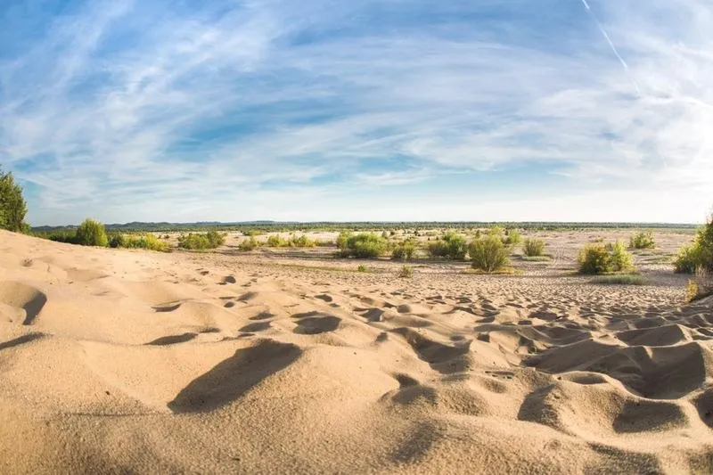 Polska ukrywa pustynie: Odkryj zaskakujące lokalizacje, które warto zobaczyć