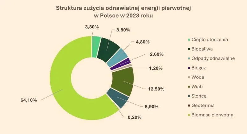 Rodzaje biomasy i czym jest biomasa: dowiedz się więcej