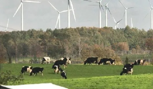 Elektrownie wodne