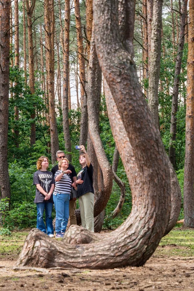 Nowe czarnowo energetyka gazowa