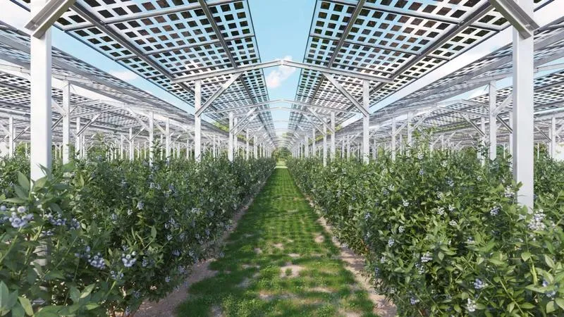 Oszczędności na rachunkach za prąd