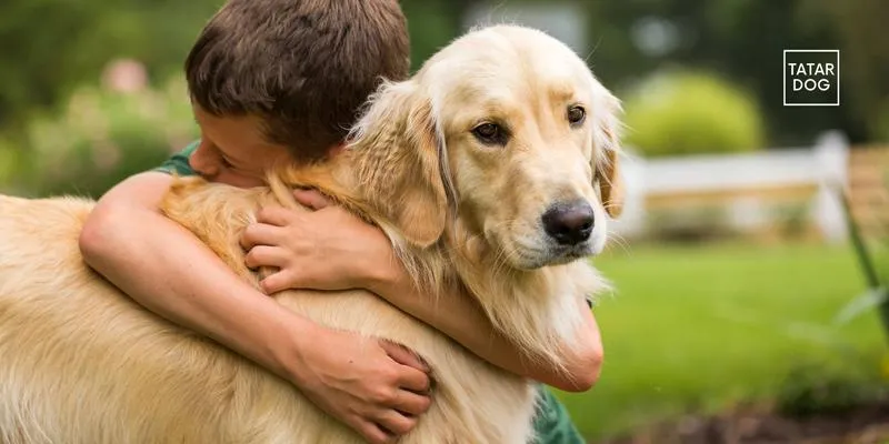 Psychologiczne korzyści z przytulania psa