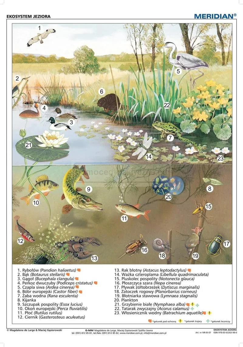 Różnorodność ekosystemów na Ziemi