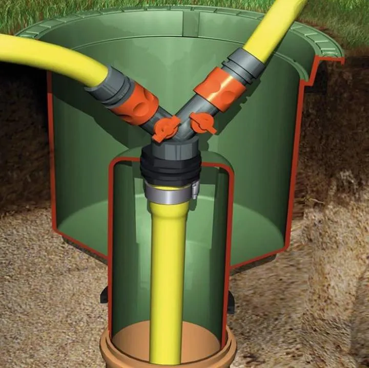 Wąż w skrzynce z pomidorami