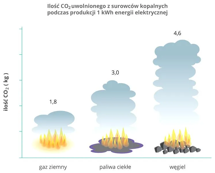 Wpływ na środowisko