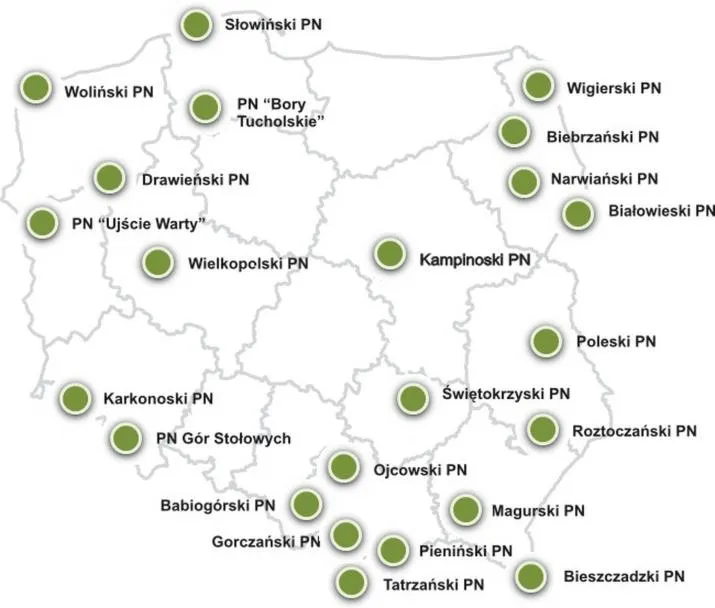 Wycieczki rodzinne po parkach